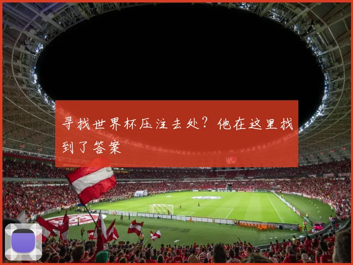 寻找世界杯压注去处?他在这里找到了答案