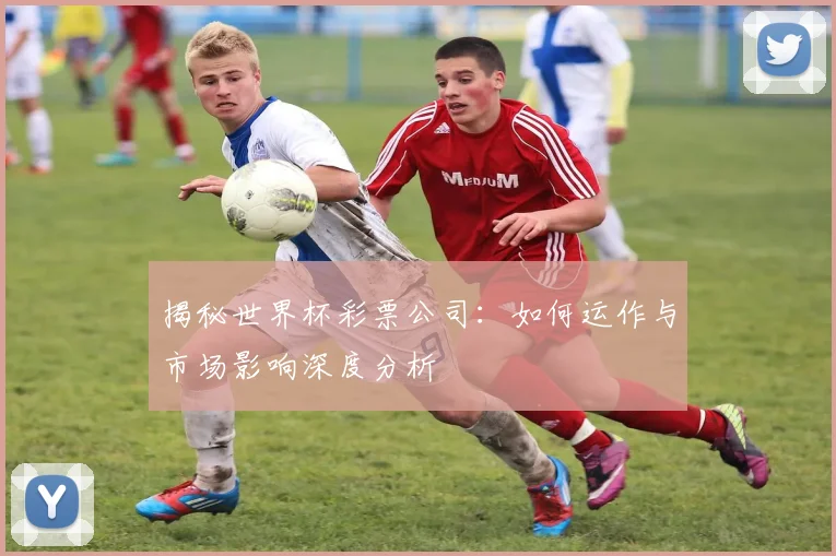 揭秘世界杯彩票公司：如何运作与市场影响深度分析