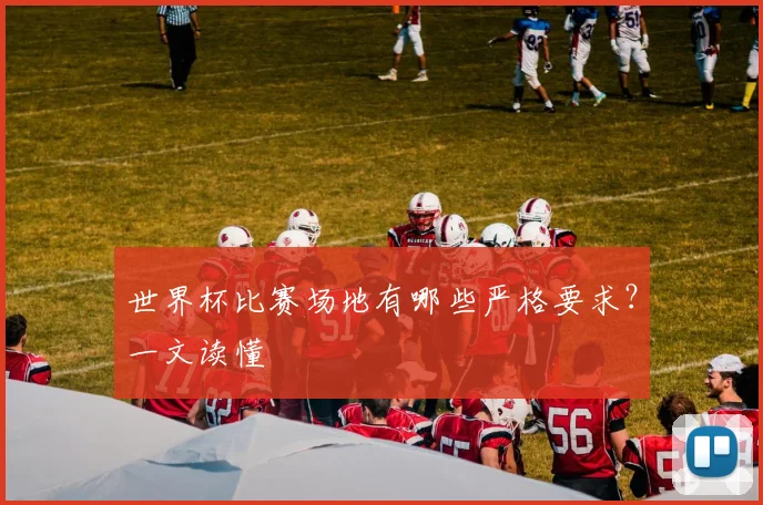 世界杯比赛场地有哪些严格要求?一文读懂