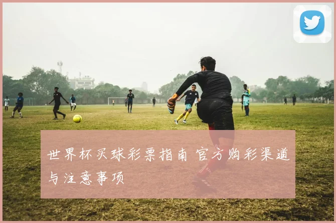 世界杯买球彩票指南 官方购彩渠道与注意事项