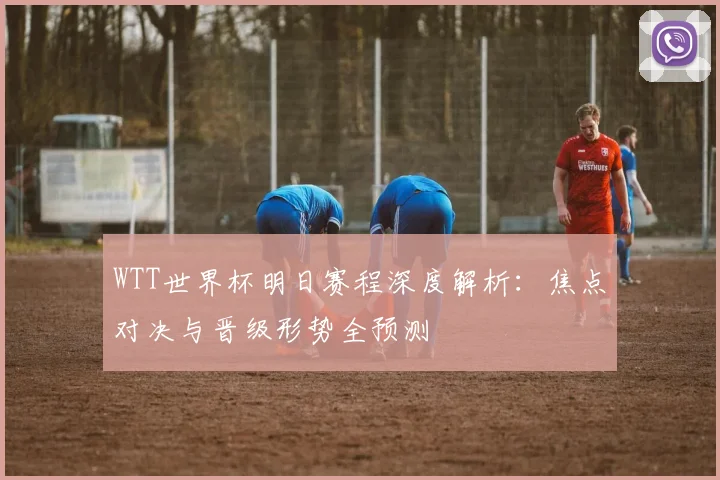 WTT世界杯明日赛程深度解析:焦点对决与晋级形势全预测