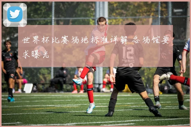 世界杯比赛场地标准详解 各场馆要求曝光