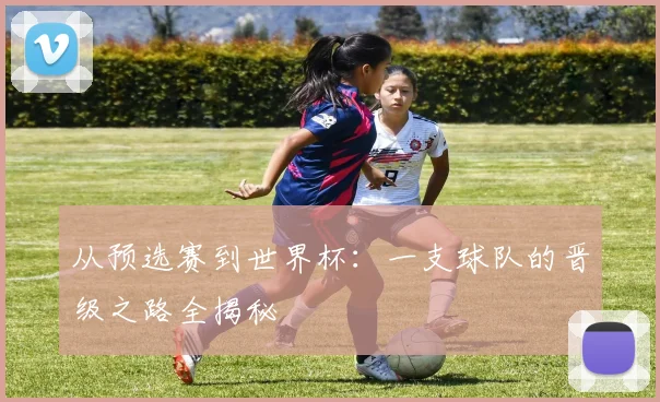 从预选赛到世界杯:一支球队的晋级之路全揭秘
