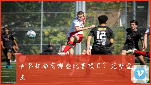 世界杯都有哪些比赛项目?完整盘点